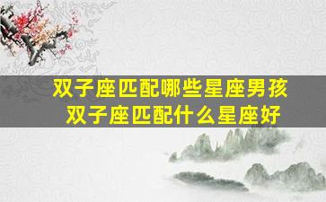 双子座匹配哪些星座男孩 双子座匹配什么星座好